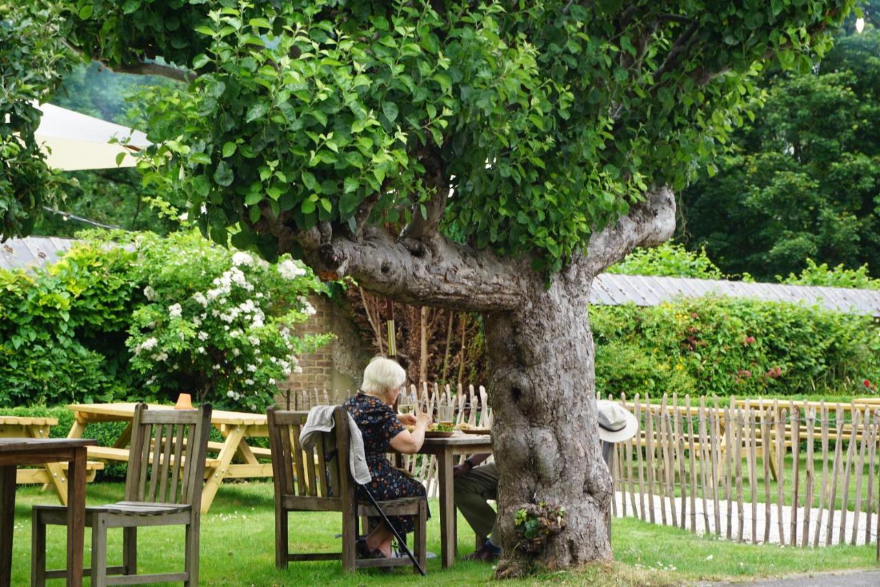 The Pembroke Arms Otel Wilton  Dış mekan fotoğraf